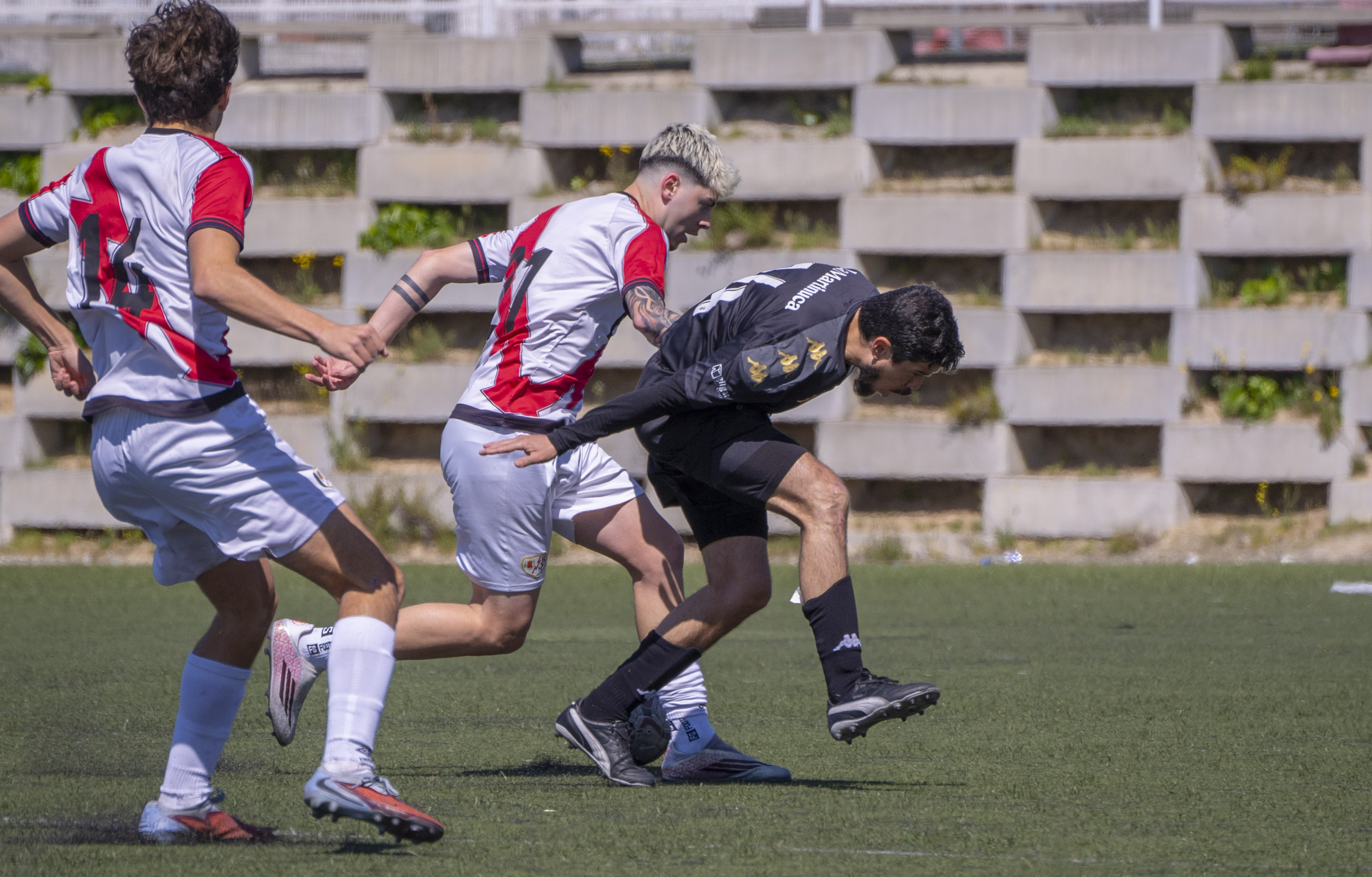 Ferro_Rayo-2.JPG